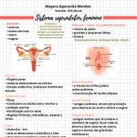 Resumo de Anatomia do Sistema Reprodutor Feminino