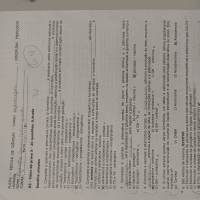 Prova Endocrinologia