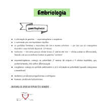 Embrio - prova 1 - gametogênese