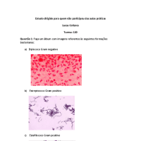 Estudo Prático Microbiologia