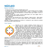 RESUMO NUCLEO 