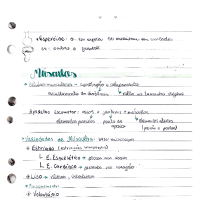 Sistema Muscular