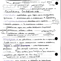 Sistema Endócrino - CHG - Resumo