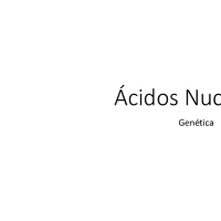 Ácidos Nucleicos