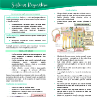 sistema respiratório