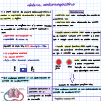 Sistema cardiorrespiratório em Idosos