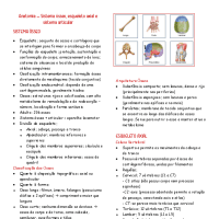 Sistema osseo e articular