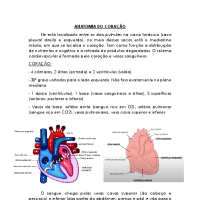 ANATOMIA DO CORAÇÃO