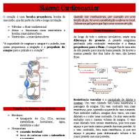 Fisiologia Cardiovascular