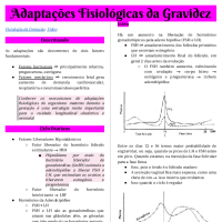 Adaptações Fisiológicas da Gravidez