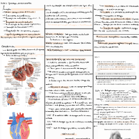 Fisiologia cardiovascular