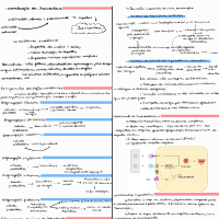 fisiologia médica