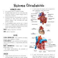 Anatomia Geral - Sistema Circulatório