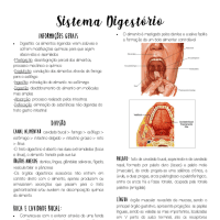 Anatomia Geral - Sistema Digestório