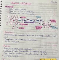 tecido nervoso