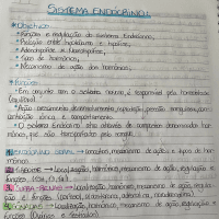 sistema endócrino