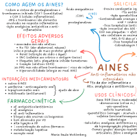 AINES