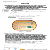 RESUMO PROVA 2 MICROBIOLOGIA