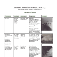 Resumo Anatomia Palpatoria CABEÇA E PESCOÇO