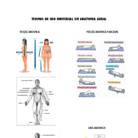 TERMOS INTRODUTORIOS DA ANATOMIA