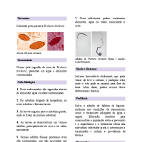 Resumo de Tricuríase