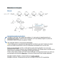 Bioquímica- Vias Metabólicas