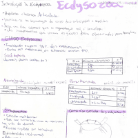 Resumo ecdysozoa