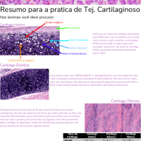 Tejido cartilaginoso