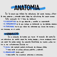 inicio da anatomía