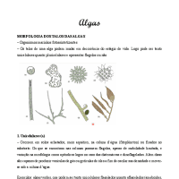 Algas geral