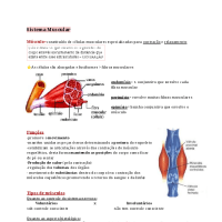 Resumo Sistema Muscular