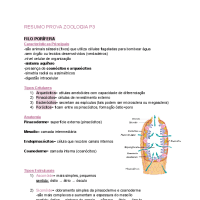 Zoologia de invertebrados I - Porífera, Cnidaria, Ctenophora, Platyhelminthes e Nematoda