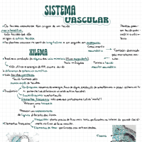 Sistema Vascular