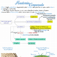 Anatomia Comparada