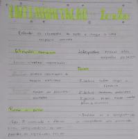 Interpretação de texto: técnicas e elementos