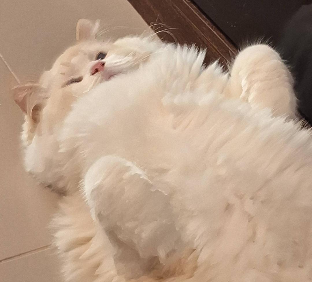 Foto de perfil do usuário