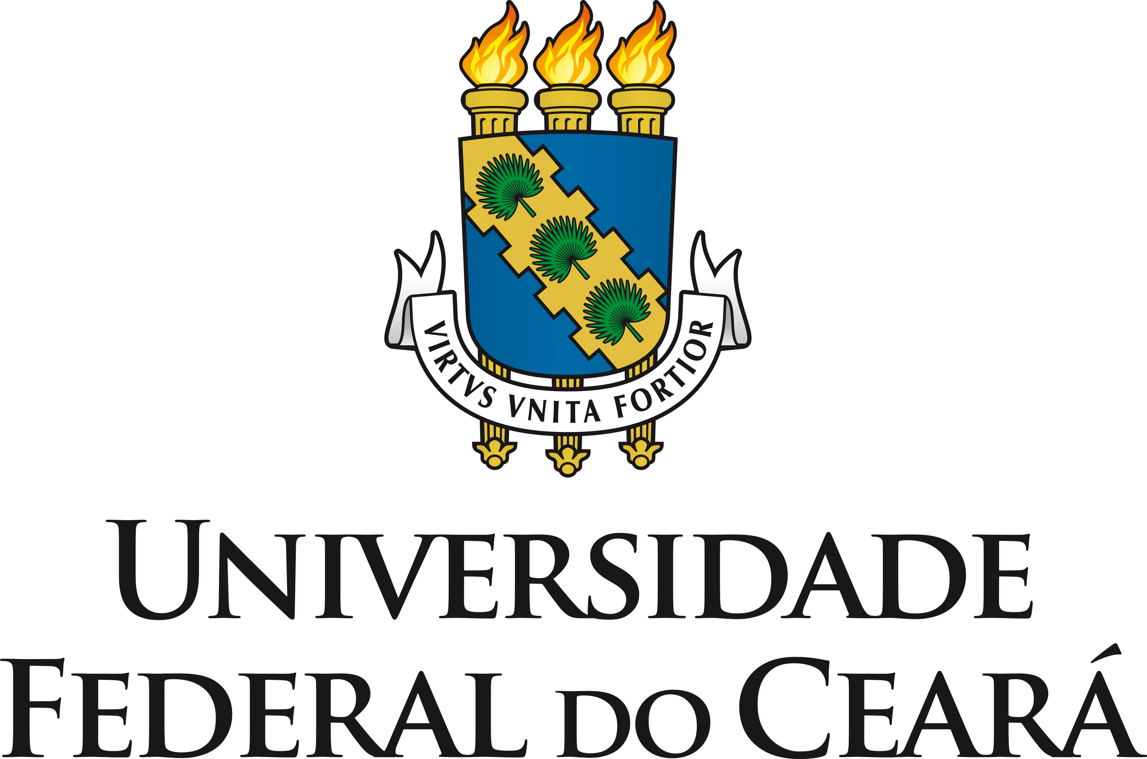 ENGENHARIA DE COMPUTAÇÃO